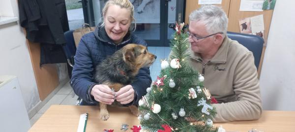 FOTO: Mali december velikih src v Zavetišču Mala Hiša