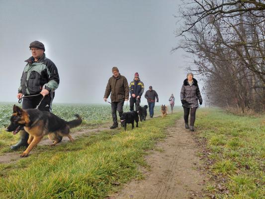 FOTO: Miklavžev pohod združil ljubitelje psov