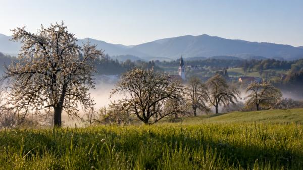 Ljudje so nekoč na prvi maj pogledali v nebo - razlog vas bo presenetil