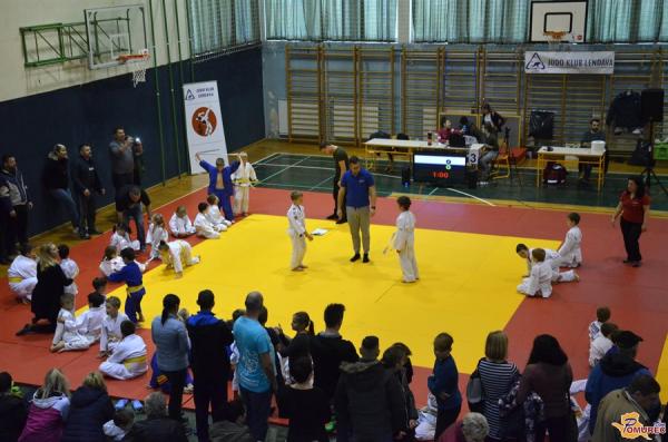 FOTO: Najmlajši judoisti so se pomerili na Miklavževem turnirju