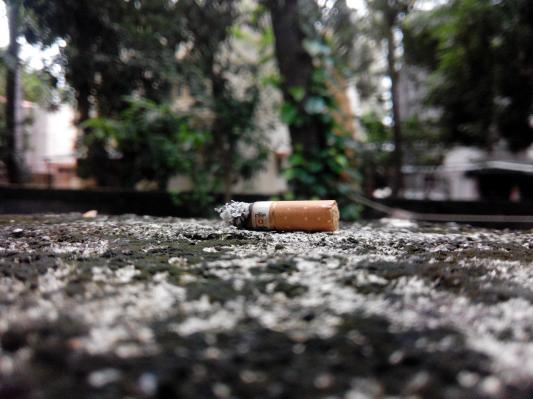 Svetovni dan brez tobaka posvečen škodljivim vplivom na okolje