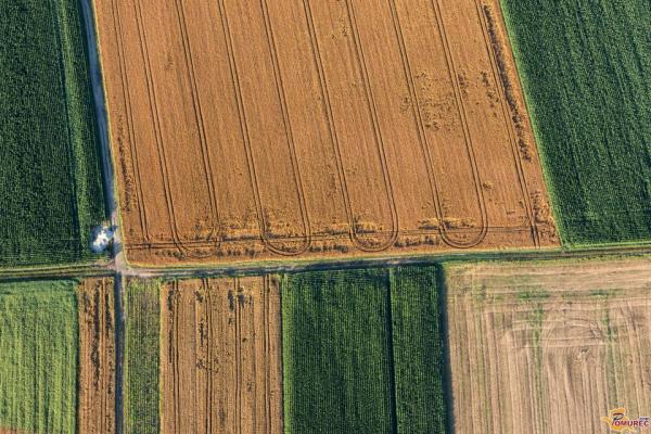 Bo Luka Koper v Beltincih zgradila logistični center, ali bo tam rasla pšenica?