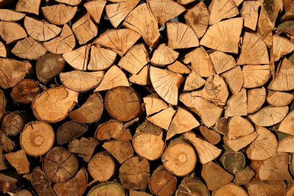 Vrednost odkupljenega okroglega lesa se je znižala v letni primerjavi