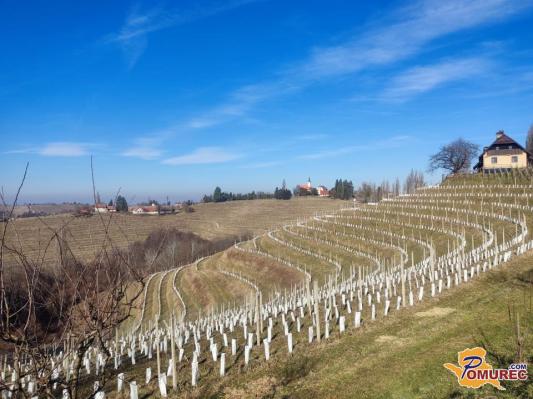 Jeruzalem med najboljšimi 100 trajnostnimi turističnimi praksami na svetu