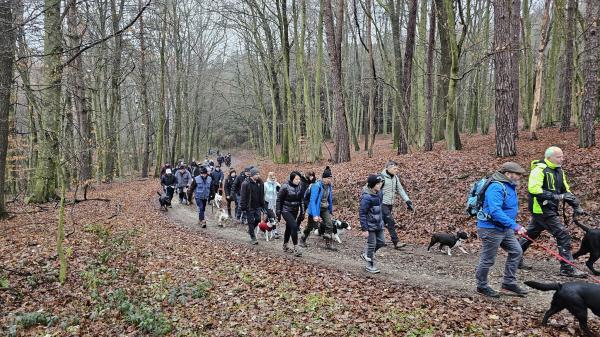 FOTO: Psički so se podali na zaključni pohod