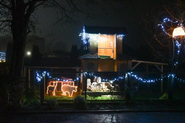 FOTO in VIDEO: Banovci v prazničnih dneh zaživeli med jaslicami in druženjem
