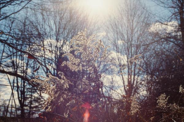 Sonce ali megla? Takšno vreme nas čaka na današnjo soboto