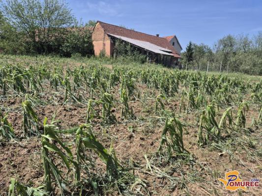 Pomurje v letu 2025 pod pritiskom vročine, toče in suše