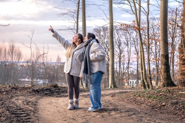 Voli, zmaji in petelini bodo odprli novo poglavje