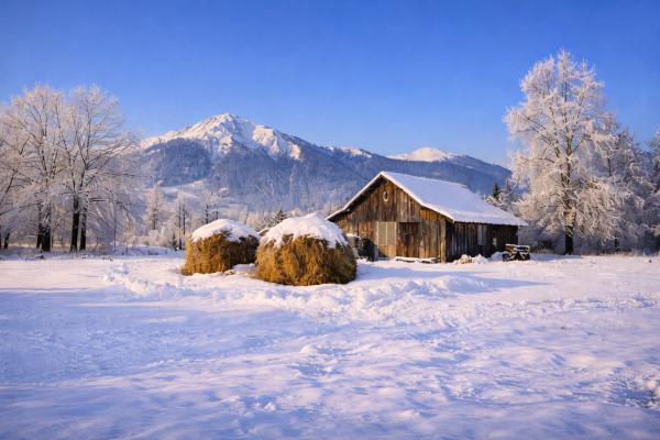Kaj razkriva vreme na praznik svetih treh kraljev?