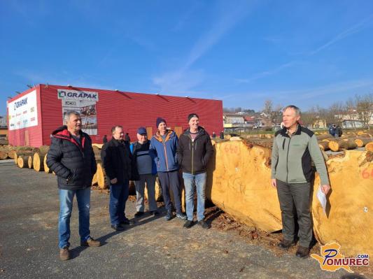 VIDEO: Dražba lesa potrdila vrednost pomurskih gozdov