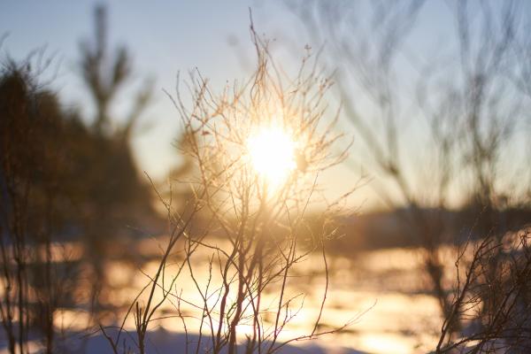 Danes precej jasno, v prihodnjih dneh se bo meja sneženja spustila do nižin