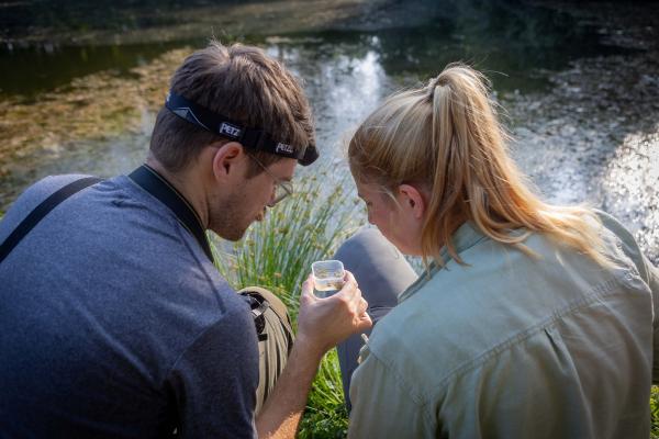 Mokrišča na območju Mure še vedno živijo