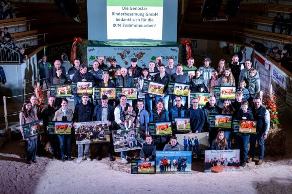 VIDEO: Tele iz Prlekije na dražbi prodano za več tisoč evrov