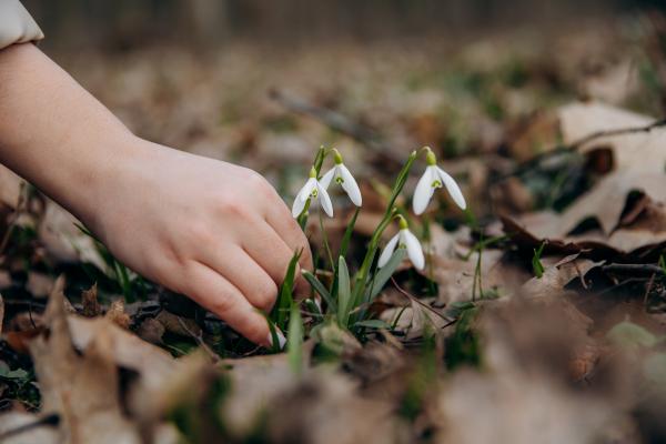 Kaj vam danes napoveduje kitajski horoskop?