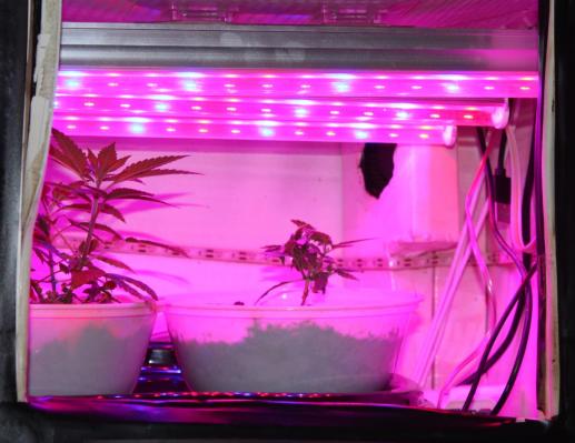 FOTO: Kaj so našli policisti na Goričkem in v Murski Soboti?