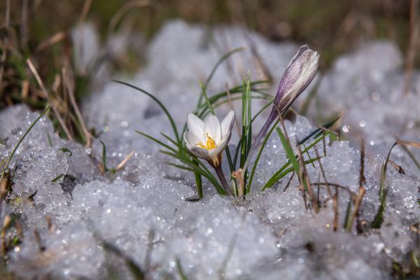 Ste že pospravili zimske plašče? Marec jih utegne znova zahtevati