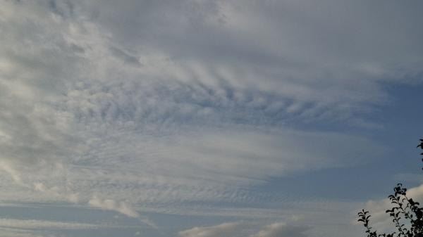 Razjasnilo se bo, pihal bo okrepljen veter