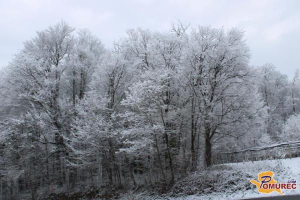 Meja sneženja se bo spuščala