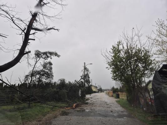 Veter do 100 kilometrov na uro, ponekod tudi sneg do nižin