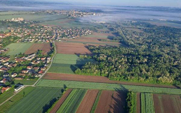 Vizija razvoja Pomurja