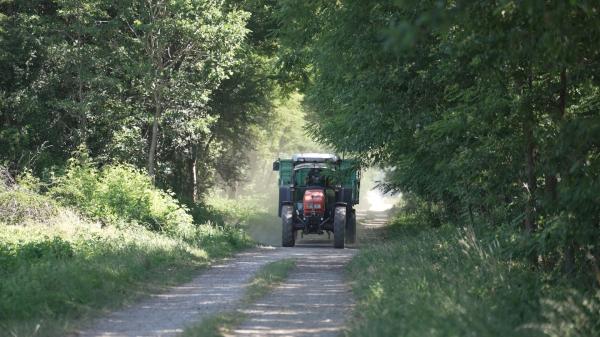VIDEO: Kako podražitve goriv vplivajo na pomurske kmete?