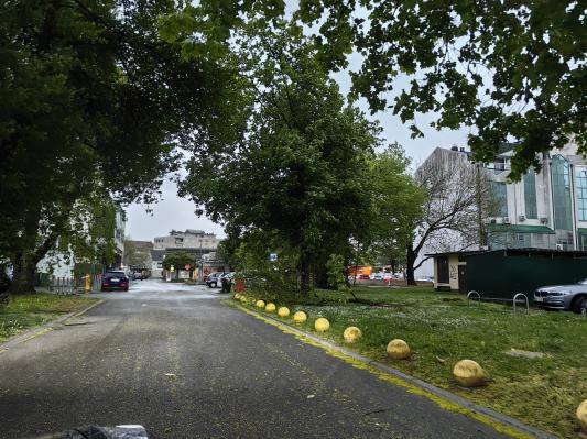 FOTO in VIDEO: Močan veter v Pomurju lomi veje in povzroča težave