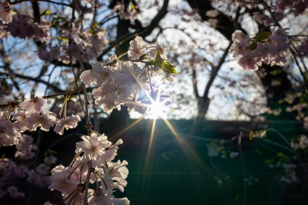 Danes sončno in toplo, jutri prihaja vremenski preobrat