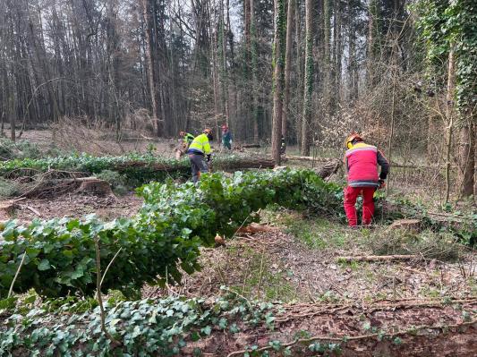 FOTO: Gasilci na Goričkem nadgrajevali znanje za varno delo z motorno žago
