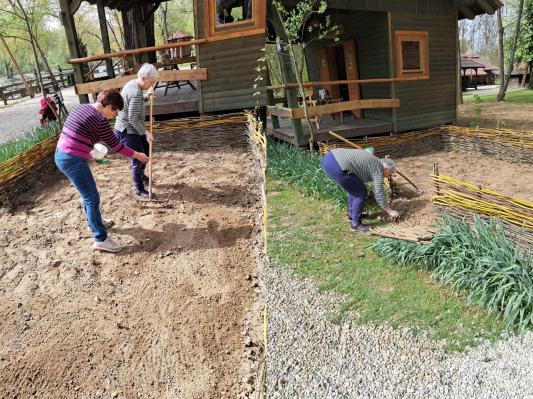 FOTO: Ročno posejan lan napoveduje modro poletje ob Muri