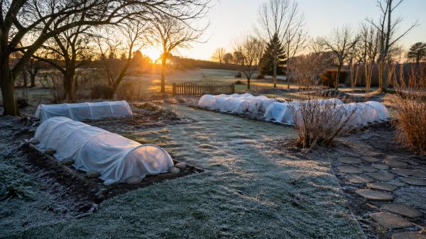 Slana konec aprila? To je 7 učinkovitih načinov, da rešite svoje rastline