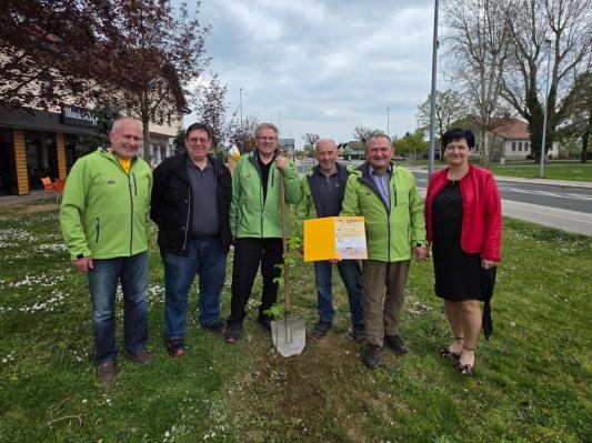 Čebelarsko društvo Tišina prejelo visoko priznanje, občina zasadila lipo