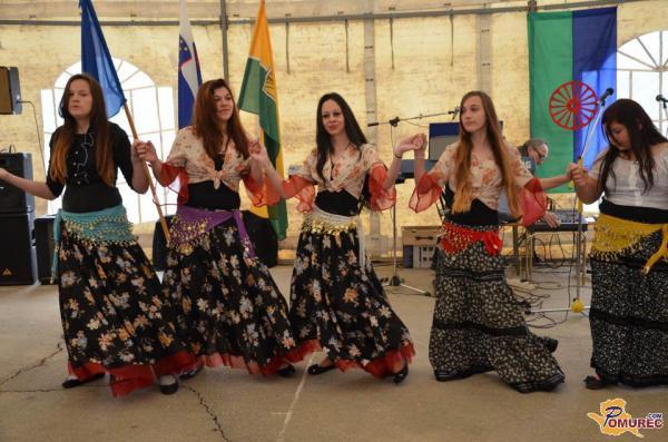 Nevidni državljani? Romi opozarjajo na izključenost iz družbe