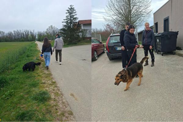FOTO: Učenci Gimnazije Murska Sobota obiskali zavetišče Mala hiša v Lukačevcih