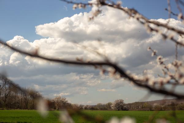 Zima še ni rekla zadnje, april lahko prinese nepričakovane ohladitve
