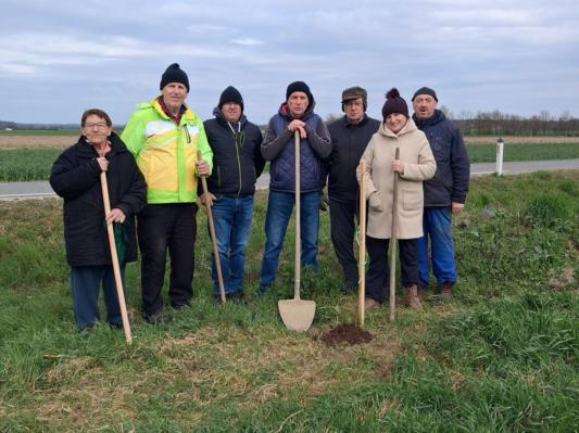 FOTO: Nova medovita drevesa v Kobilju za prihodnost čebel in narave