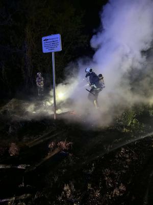 Požar pri Bratoncih zajel tudi gozd
