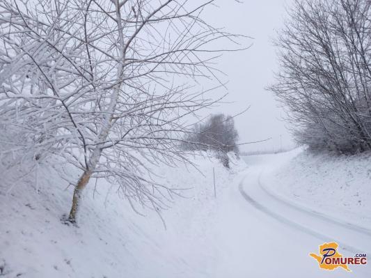 Bo letošnja jesen obilna, zima pa huda? To pravi stara ljudska modrost