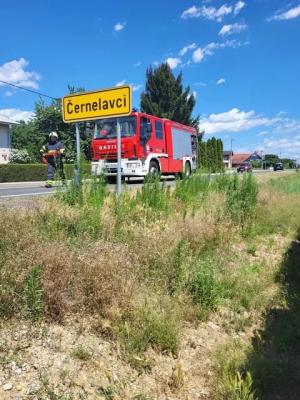 FOTO: Pri Veščici zagorela suha trava, posredovali so gasilci