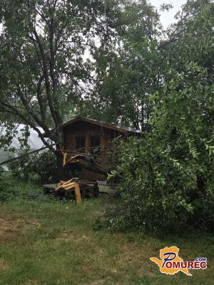 FOTO: Huda ura nad Pomurjem: Podrta drevesa, izpadi elektrike in intervencije gasilcev