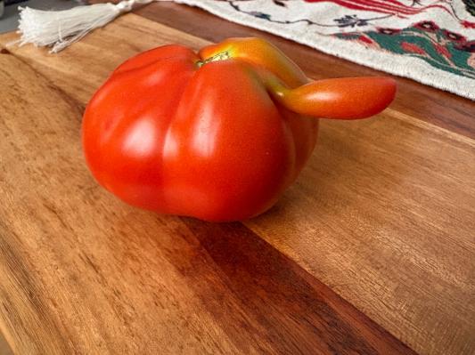 FOTO: Na vrtu ga je pričakalo presenečenje, poglejte nenavadni paradižnik