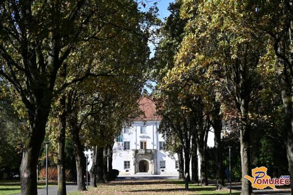 Prihaja velika prenova soboškega mestnega parka, kaj se obeta?