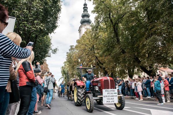 Skoraj 400 udeležencev v povorki, vol na žaru in koncert brez vstopnine