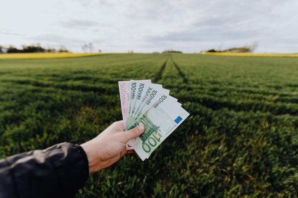 Milijonska pomoč odobrena, denar bo na računih že čez nekaj tednov