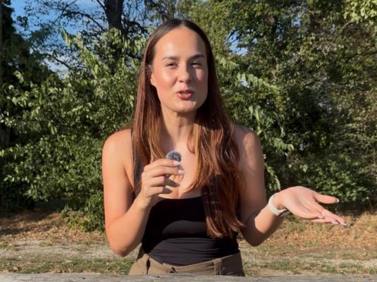 VIDEO: Toča lahko pridelek uniči v nekaj minutah – obstajajo načini za zaščito