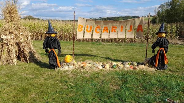FOTO: Tradicionalna bučarija znova navdušila, na mize postavili prave bučne dobrote