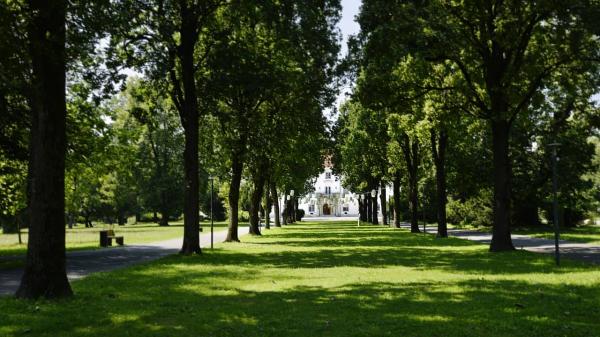 Vas zanima, kakšen bo soboški park po prenovi? Zdaj si ga lahko ogledate
