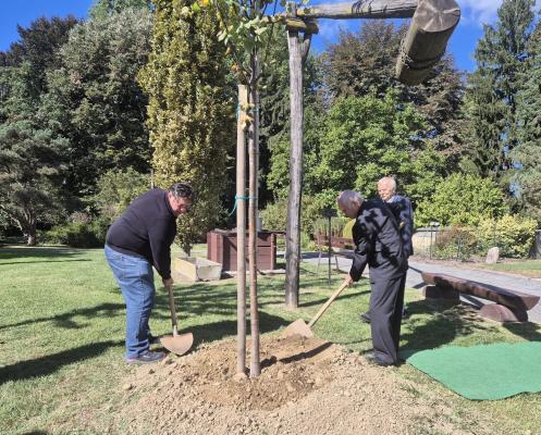 V Vrtu spominov in tovarištva zasadili lipo ob pomembnem jubileju